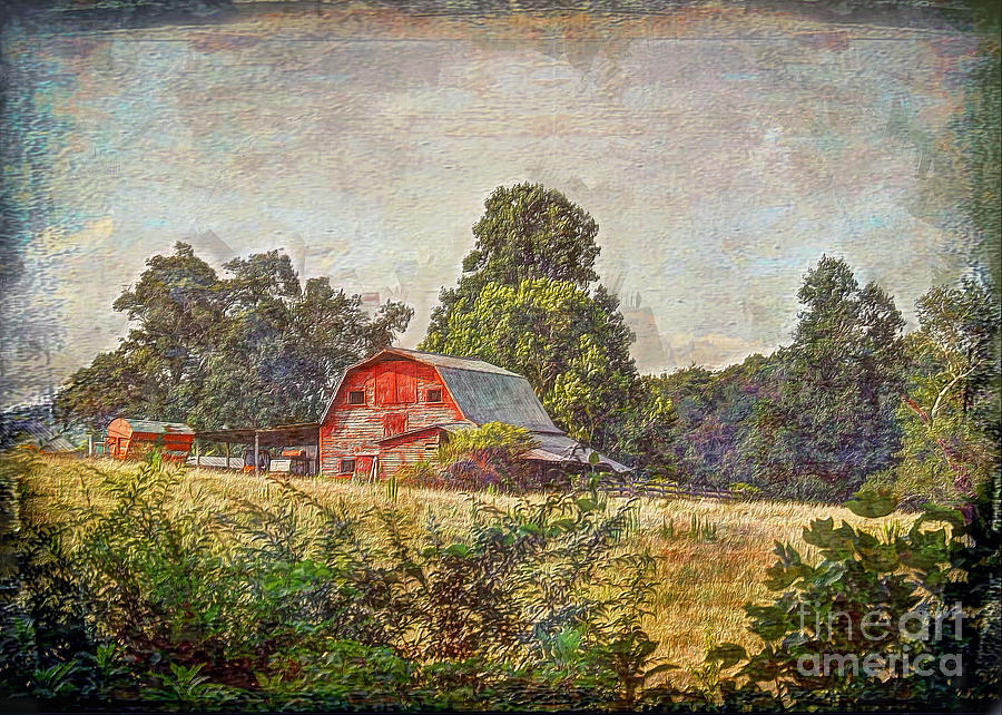 Old Farm #2 Digital Art by Savannah Gibbs