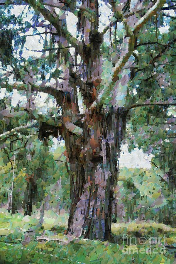 Old Gum Tree #2 Digital Art by Fran Woods