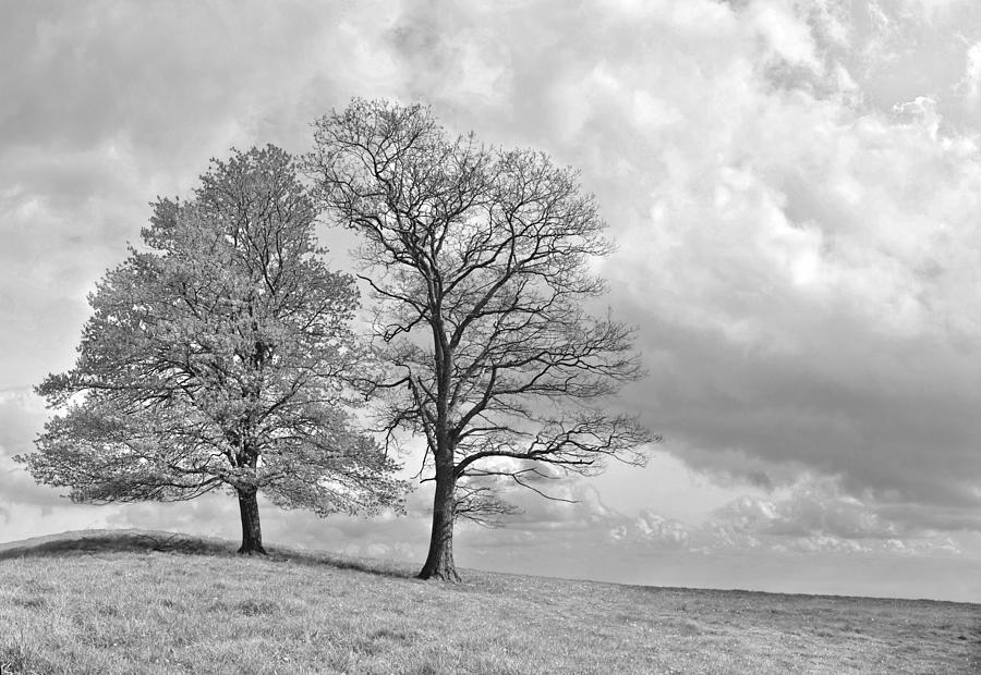Alive Photograph - Old lovers by Sebastien Coursol Alive Photograph - Old lovers by Sebastien Coursol