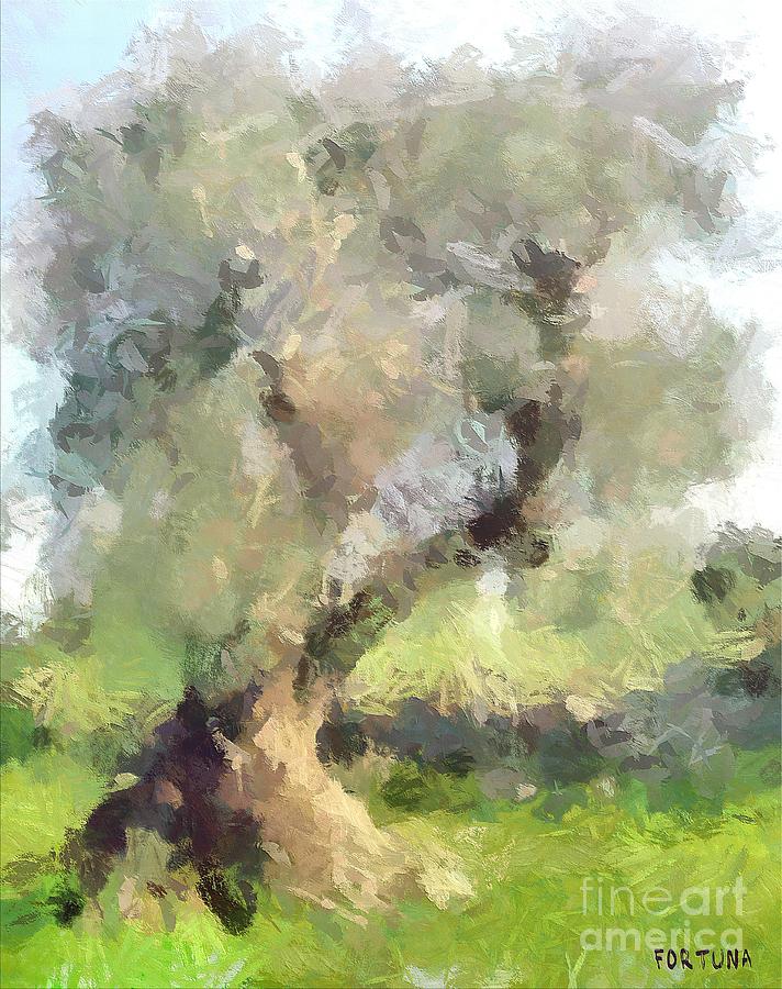 Old olive tree #3 Painting by Dragica  Micki Fortuna
