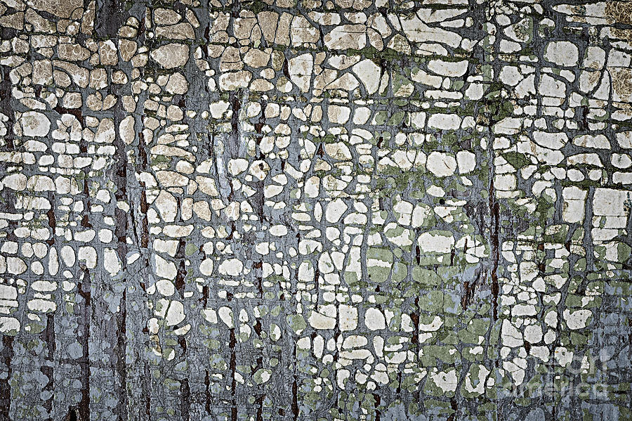 Old painted wood abstract No.6 Photograph by Elena Elisseeva