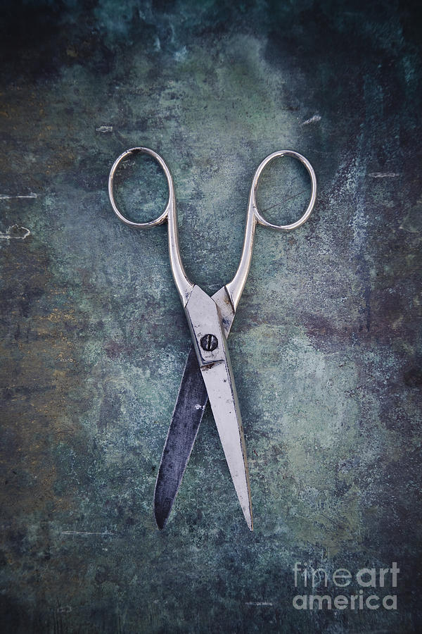 Old scissors #2 Photograph by Maria Heyens