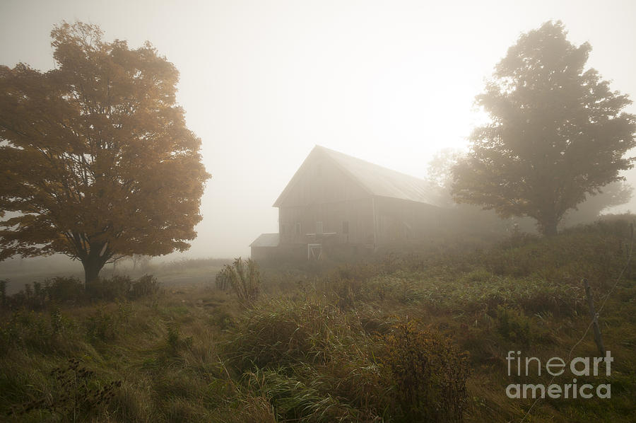 Old weathered barn on a foggy autumn morning #2 Photograph by Don Landwehrle