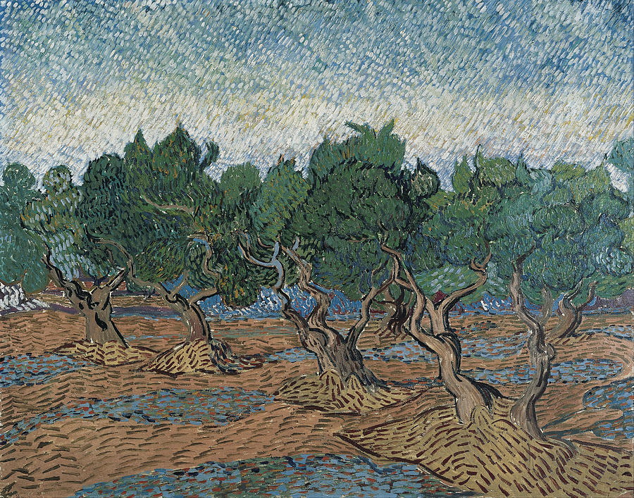Olive grove #7 Painting by Vincent van Gogh