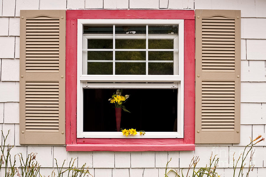 Open Window With Yellow Flowers  Photograph by Jim Corwin