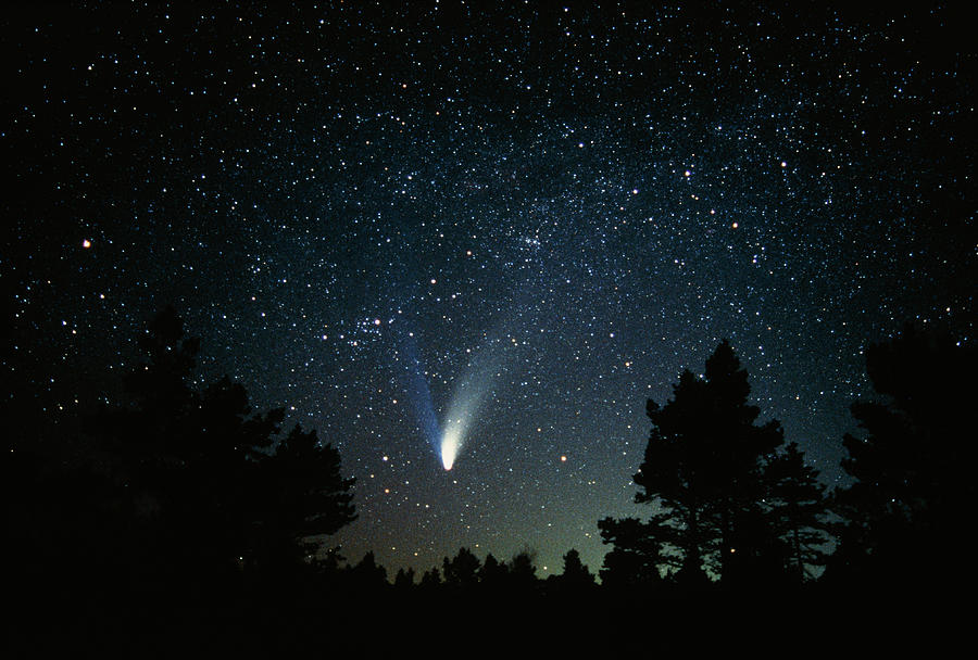 Optical Image Of Comet Hale-bopp #2 Photograph by Pekka Parviainen/science Photo Library