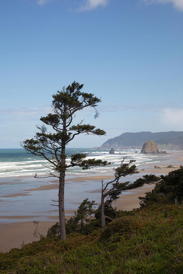 Nature Photograph - Or, Oregon Coast, Cannon Beach #2 by Jamie and Judy Wild