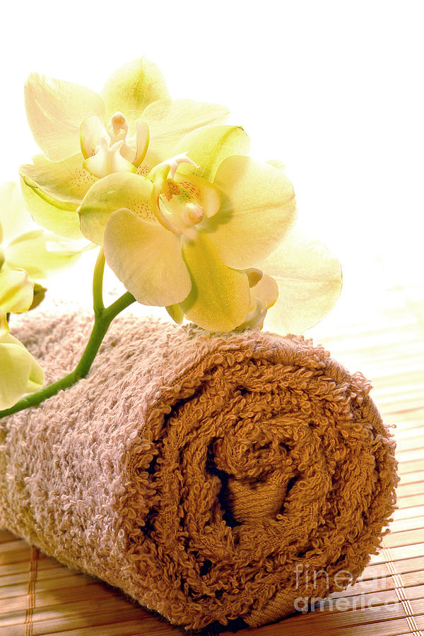 Orchid on Towel Photograph by Olivier Le Queinec