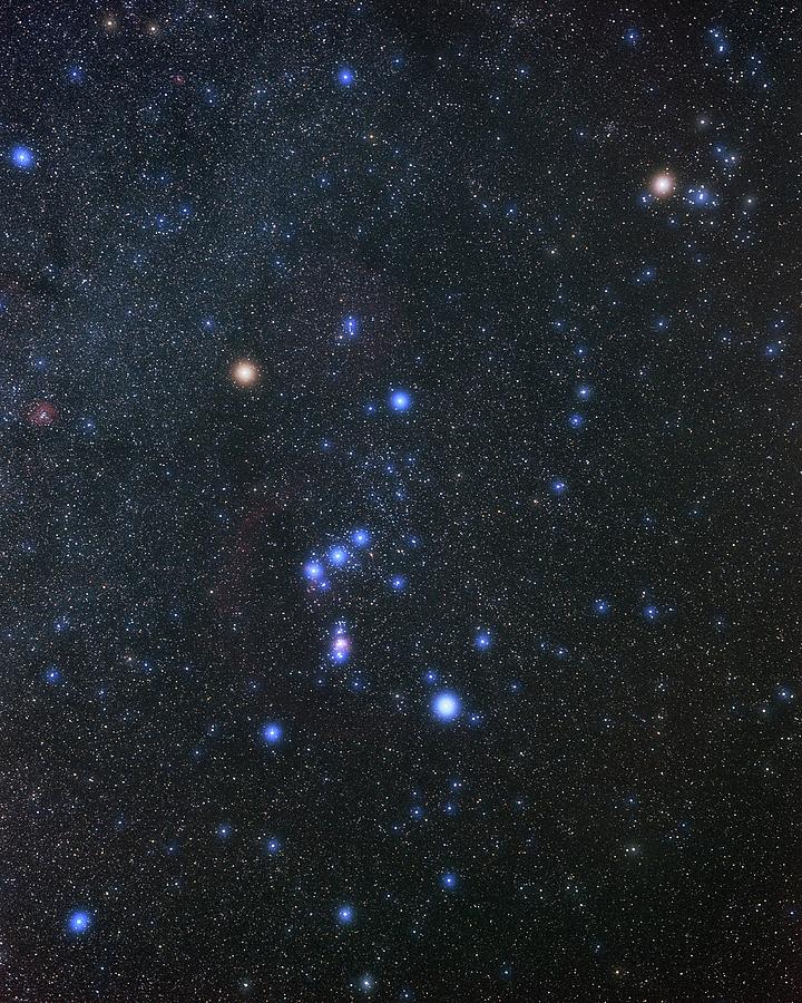 Orion Constellation #2 Photograph by Eckhard Slawik/science Photo Library