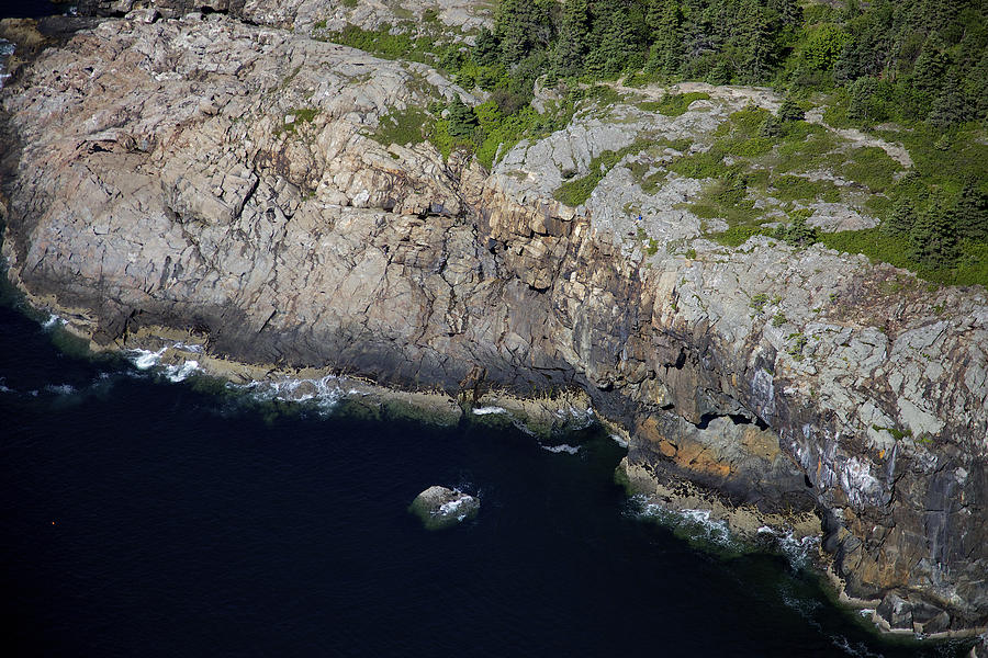 Acadia National Park Photograph - Otter Cliffs, Acadia National Park #2 by Dave Cleaveland