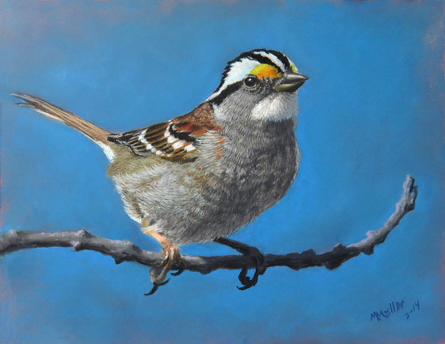 Sparrow Pastel - Out on a Limb #2 by Marcus Moller