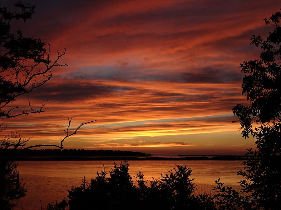 Outer Banks Sunset Over Bay And Colington Island Photograph by Rick Rosenshein