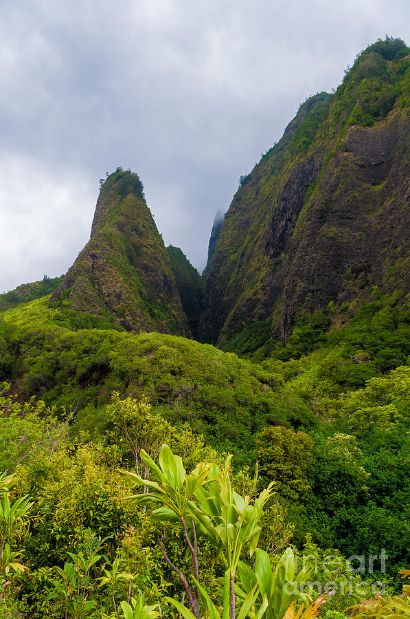 Overview of the Iao Needle State Park Maui Hawaii USA #2 Photograph by Don Landwehrle
