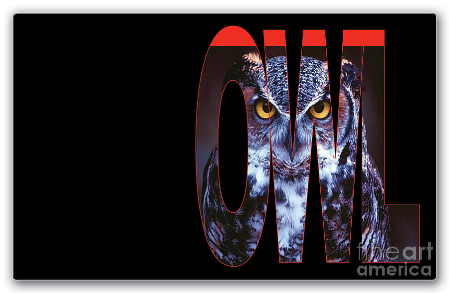 Owl #2 Mixed Media by Marvin Blaine