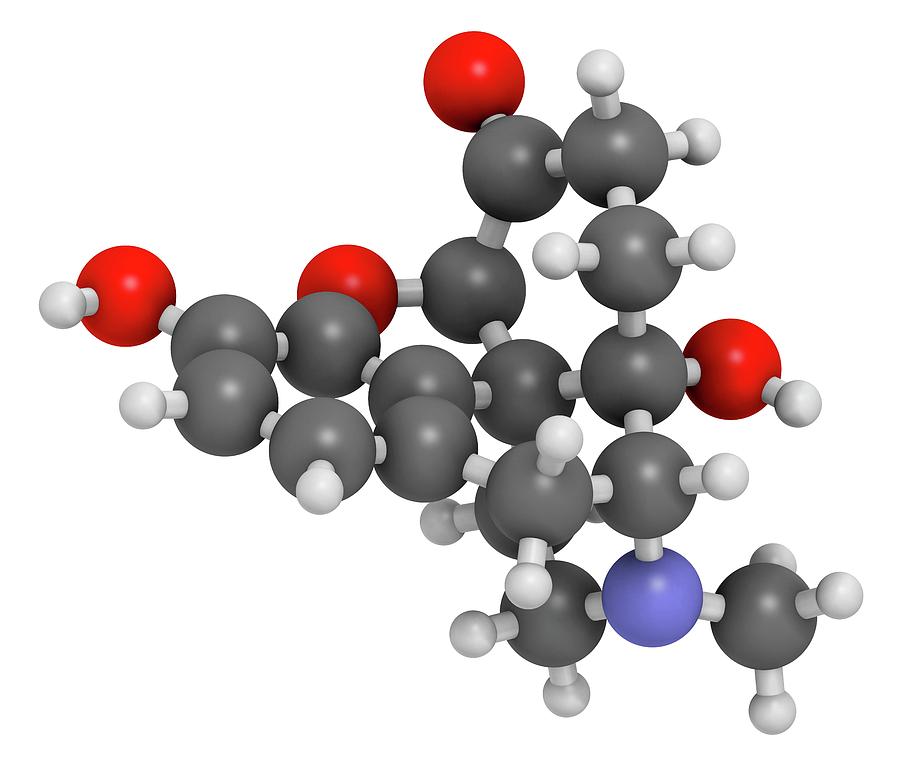 Oxymorphone Opioid Analgesic Drug #2 Photograph by Molekuul - Fine Art ...