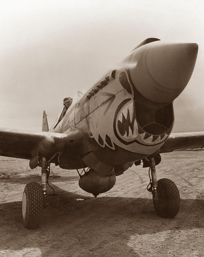 Ww2 Photograph - P-40 Warhawk #2 by War Is Hell Store