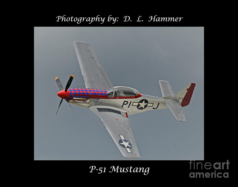P-51 Mustang #2 Photograph by Dennis Hammer