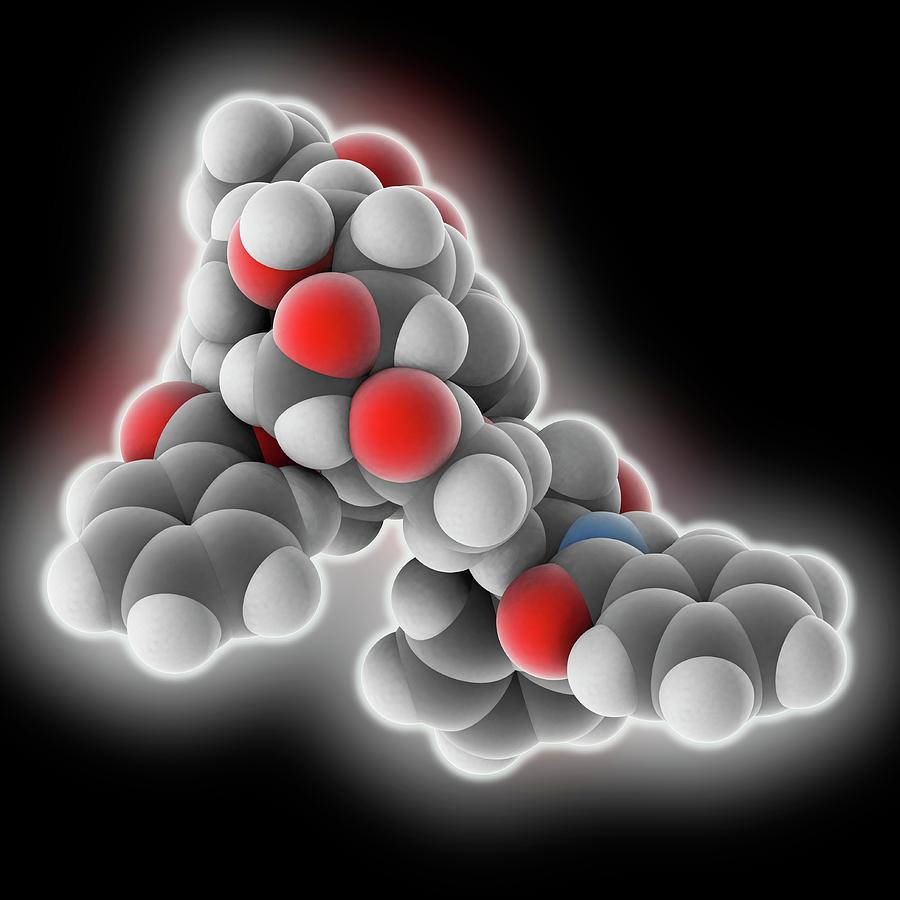Paclitaxel Drug Molecule #2 Photograph by Laguna Design