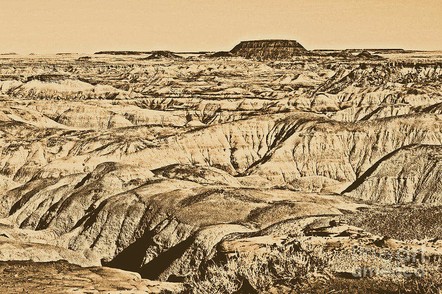 Painted Desert in Petrified Forest National Park Rustic #1 Digital Art by Shawn OBrien