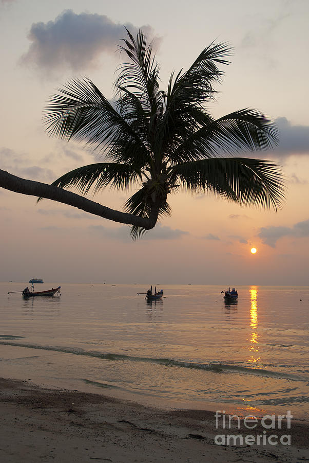 Palm Tree And Boats At Sunset On Tropical Island #2 Photograph by JM Travel Photography