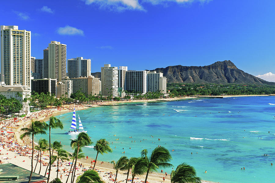 Palm Trees On The Beach, Diamond Head #2 Photograph by Panoramic Images