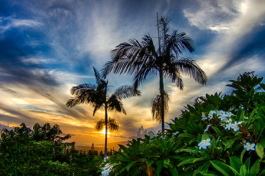 2 Palms Sunset 1 Photograph by Mike Neal