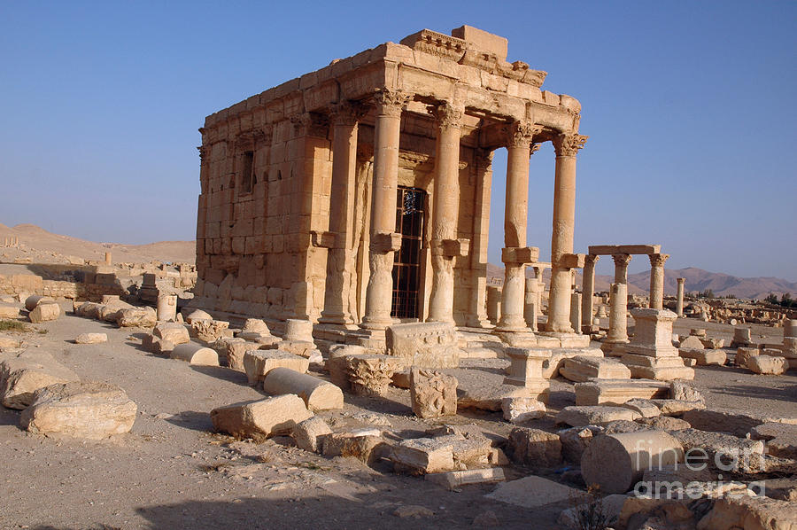 Palmyra, Syria #2 Photograph by Catherine Ursillo