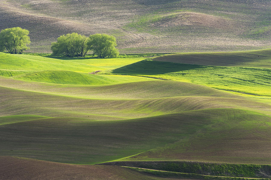 Palouse in spring color #2 Photograph by Hisao Mogi - Pixels