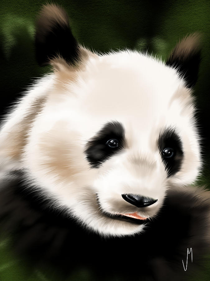 Panda #1 Painting by Veronica Minozzi