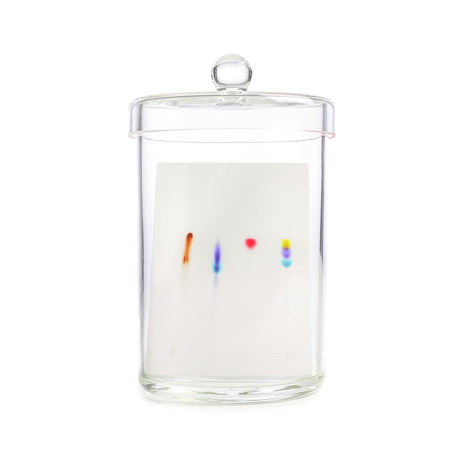 Analysis Photograph - Paper Chromatography #2 by Science Photo Library