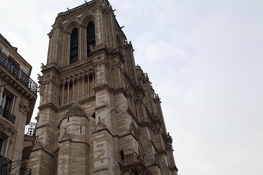 Architecture Photograph - Paris France - Notre Dame de Paris - 011310 #2 by DC Photographer