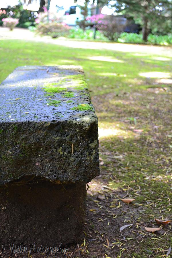 Bench Photograph - Park Bench #2 by Erin Walsh
