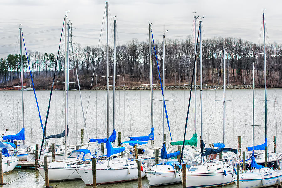 Parked Yachts In Harbour With Cloudy Skies Photograph