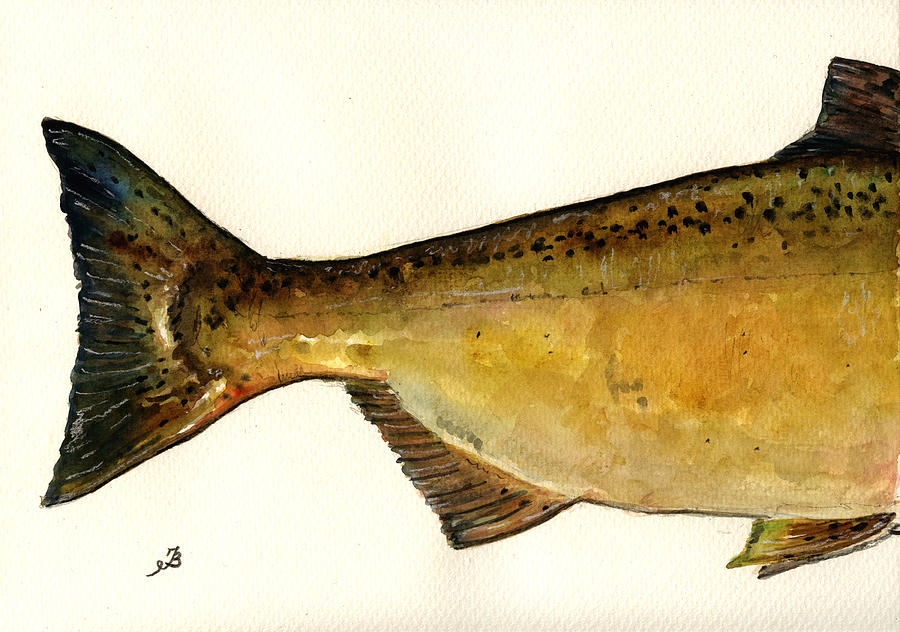 Spring Painting - 2 part Chinook king salmon by Juan  Bosco