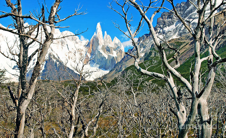 Patagonia #2 Photograph by JR Photography