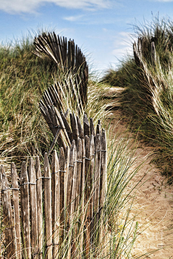Landscape Photograph - Path Through Dunes #2 by Colin and Linda McKie