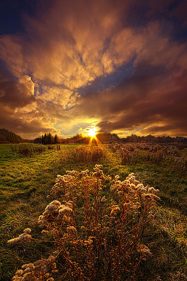 Fall Photograph - Peace Of Mind #2 by Phil Koch
