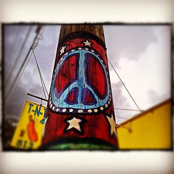 Tampa Photograph - Peace Pole #2 by Scott Pellegrin