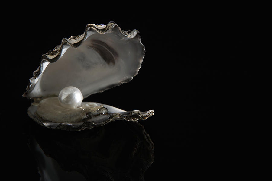 Pearl inside oyster shell #2 Photograph by Thomas Northcut