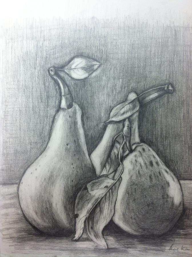 Pears #2 Drawing by Hae Kim