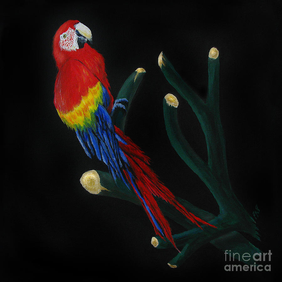 Macaw Painting - Perched Macaw #2 by Peter Piatt