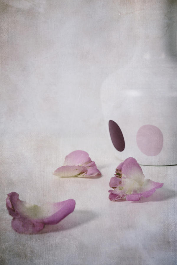 Flower Photograph - Petals #2 by Joana Kruse