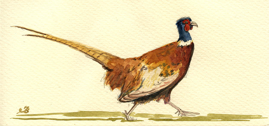 Pheasant Painting - Pheasant #2 by Juan  Bosco