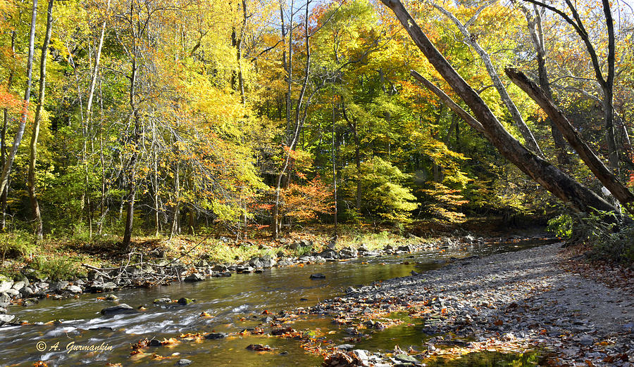Philadelphia Landmark Pennypack Creek in Autumn #2 Photograph by A Macarthur Gurmankin
