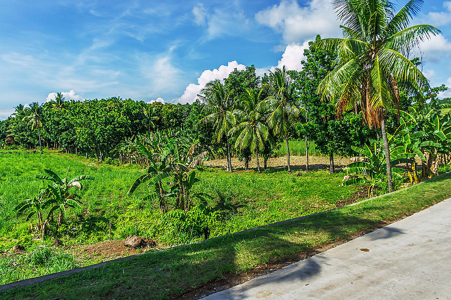 Philippine Countryside Scene Photograph