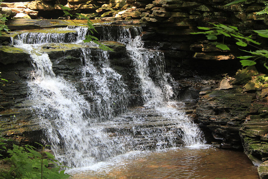 Pictures of Waterfall Ricketts Glen State Park PA #2 Photograph by Susan Jensen