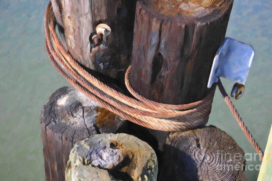 Wooden Pilings Digital Art by Dale Powell