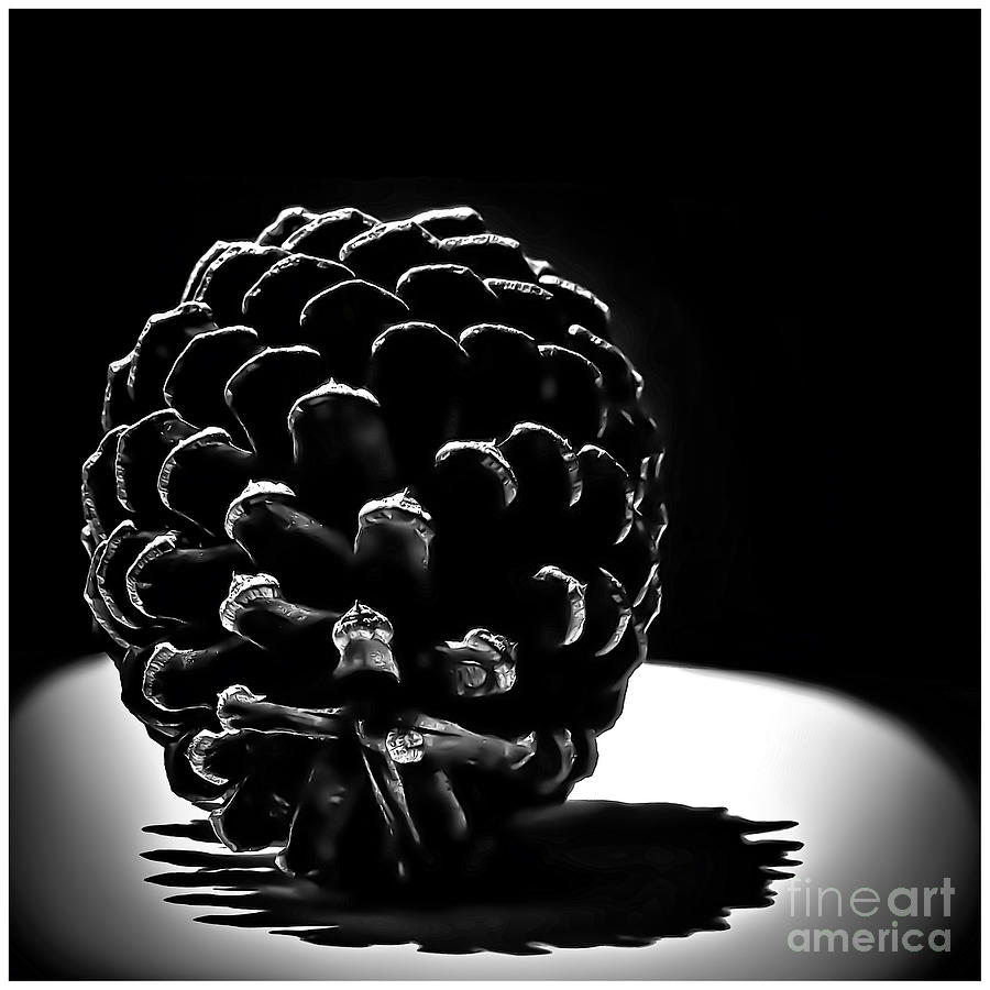 Pine Cone Light Painting 476 Photograph by Walt Foegelle