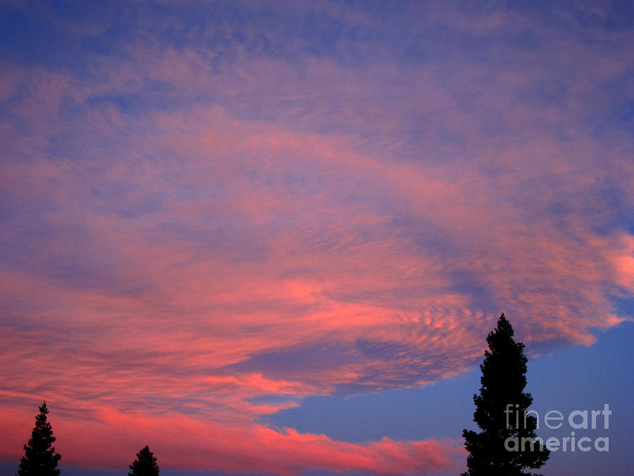 Pink Sky #2 Photograph by Debra Thompson
