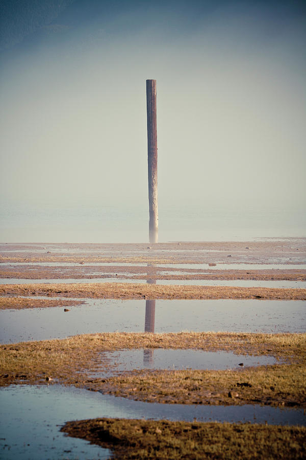 Pitt Lake Pilings Photograph by Christopher Kimmel - Fine Art America